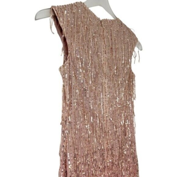NWT Saint Art Aida Sequin Fringe Rose Gold Ombre Sleeveless Dress Size XXS - Picture 10 of 12